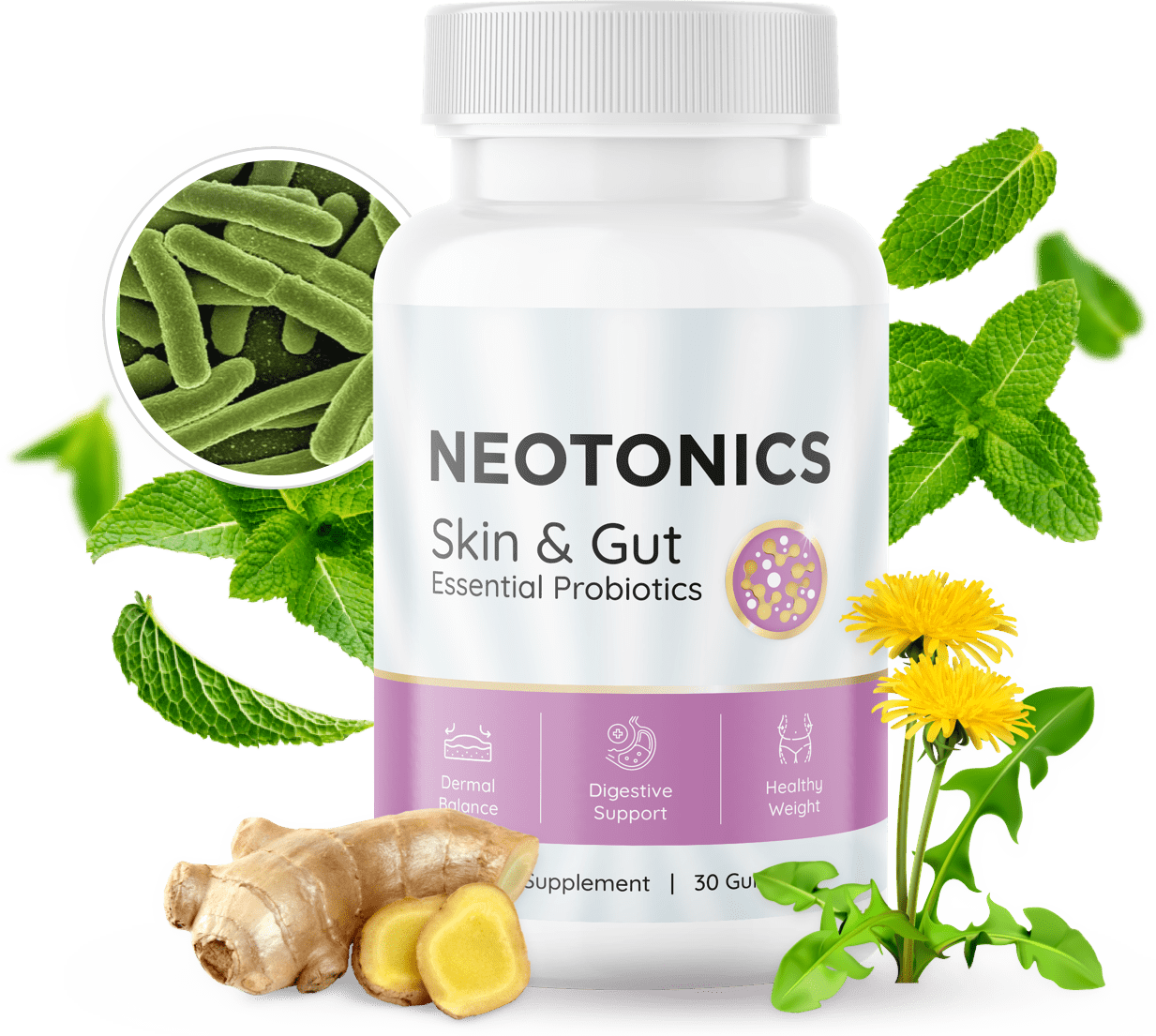 neotonics-banner.webp?